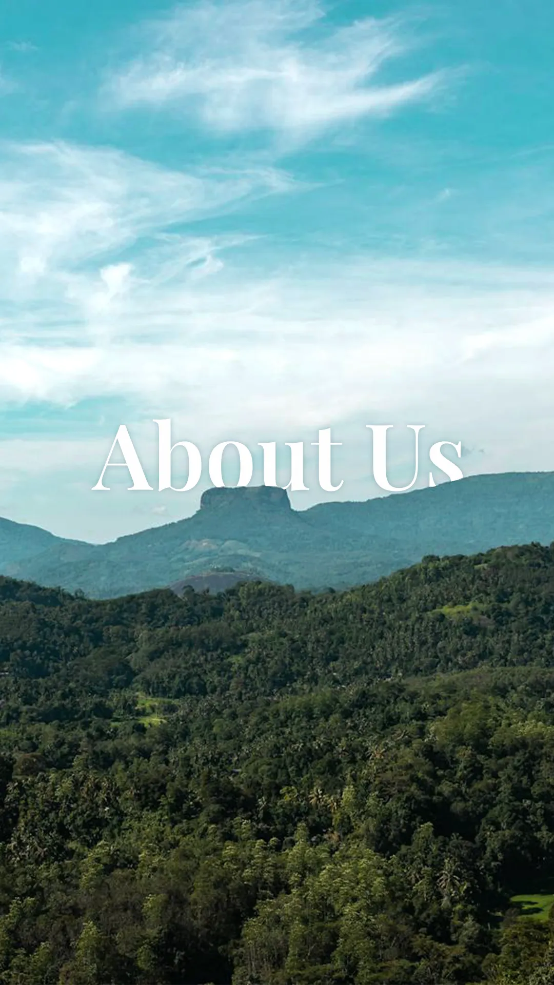 About us background