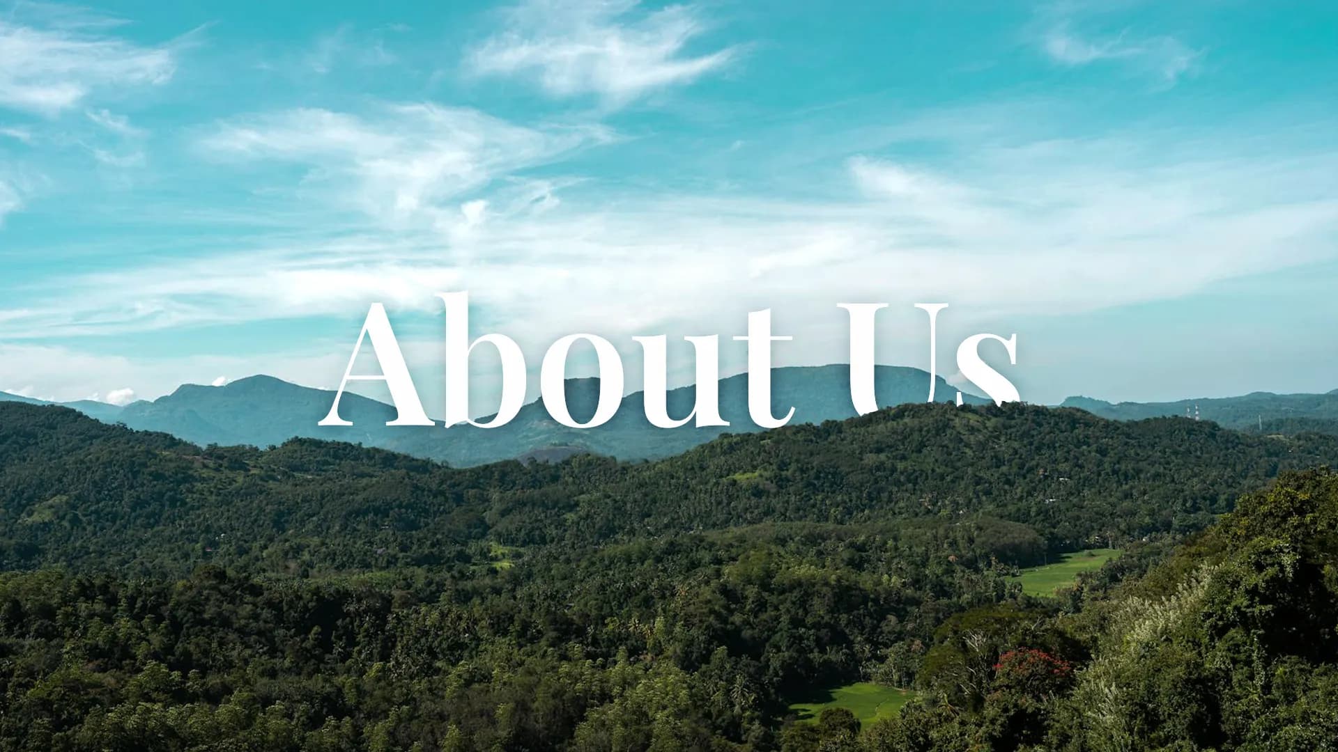 About us background