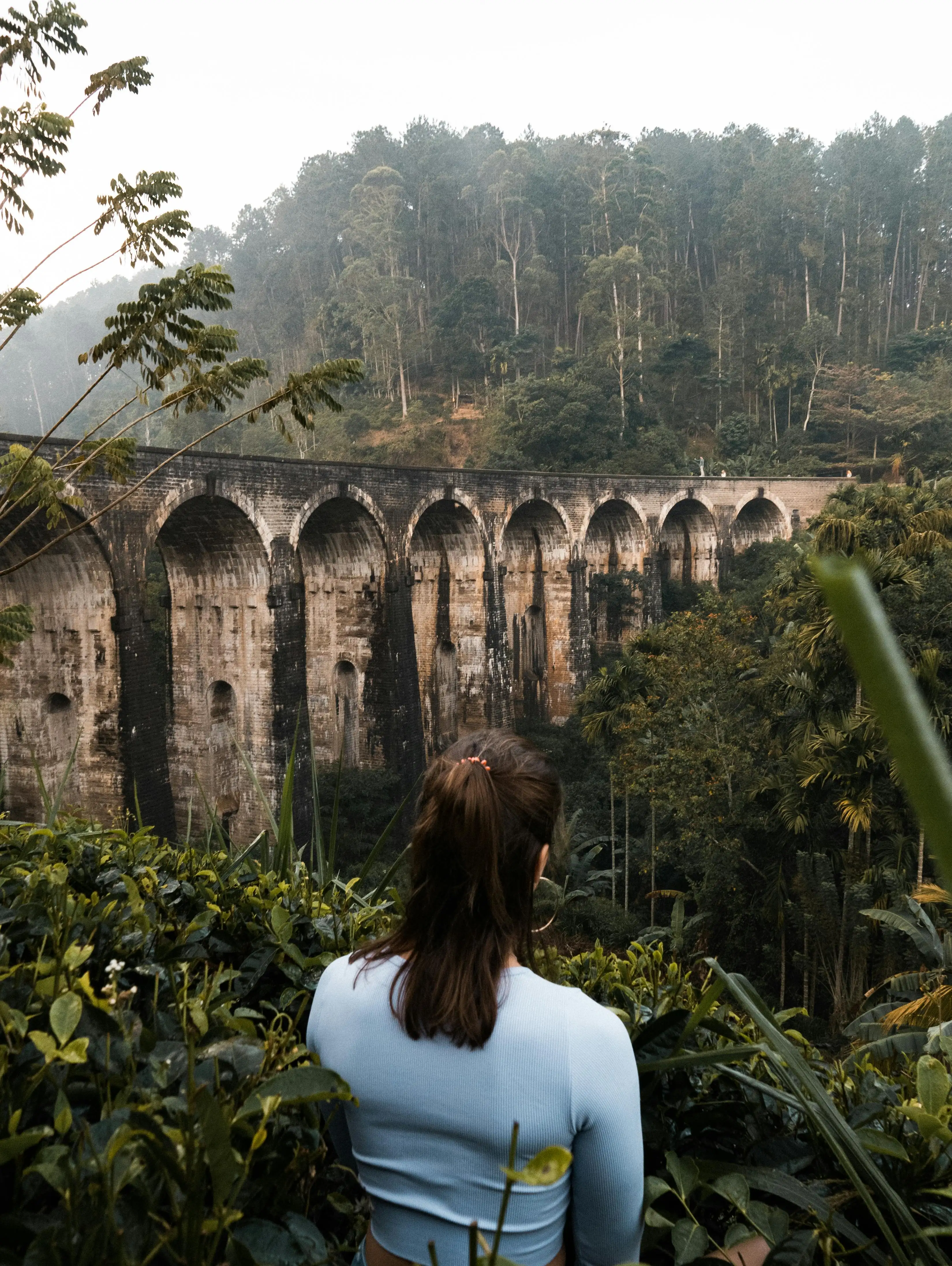 Elion Holidays Sri Lanka Vision