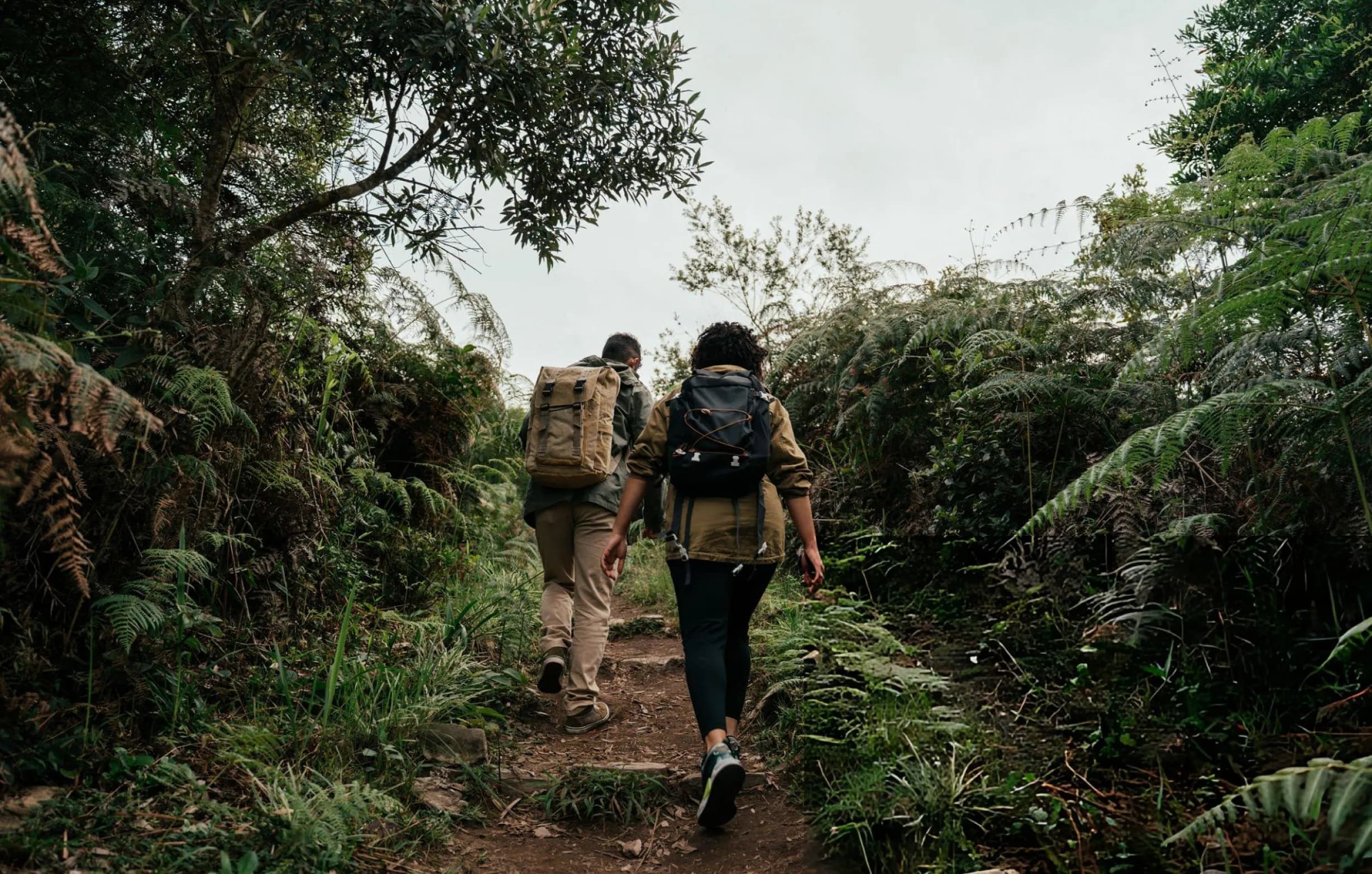 Trekking