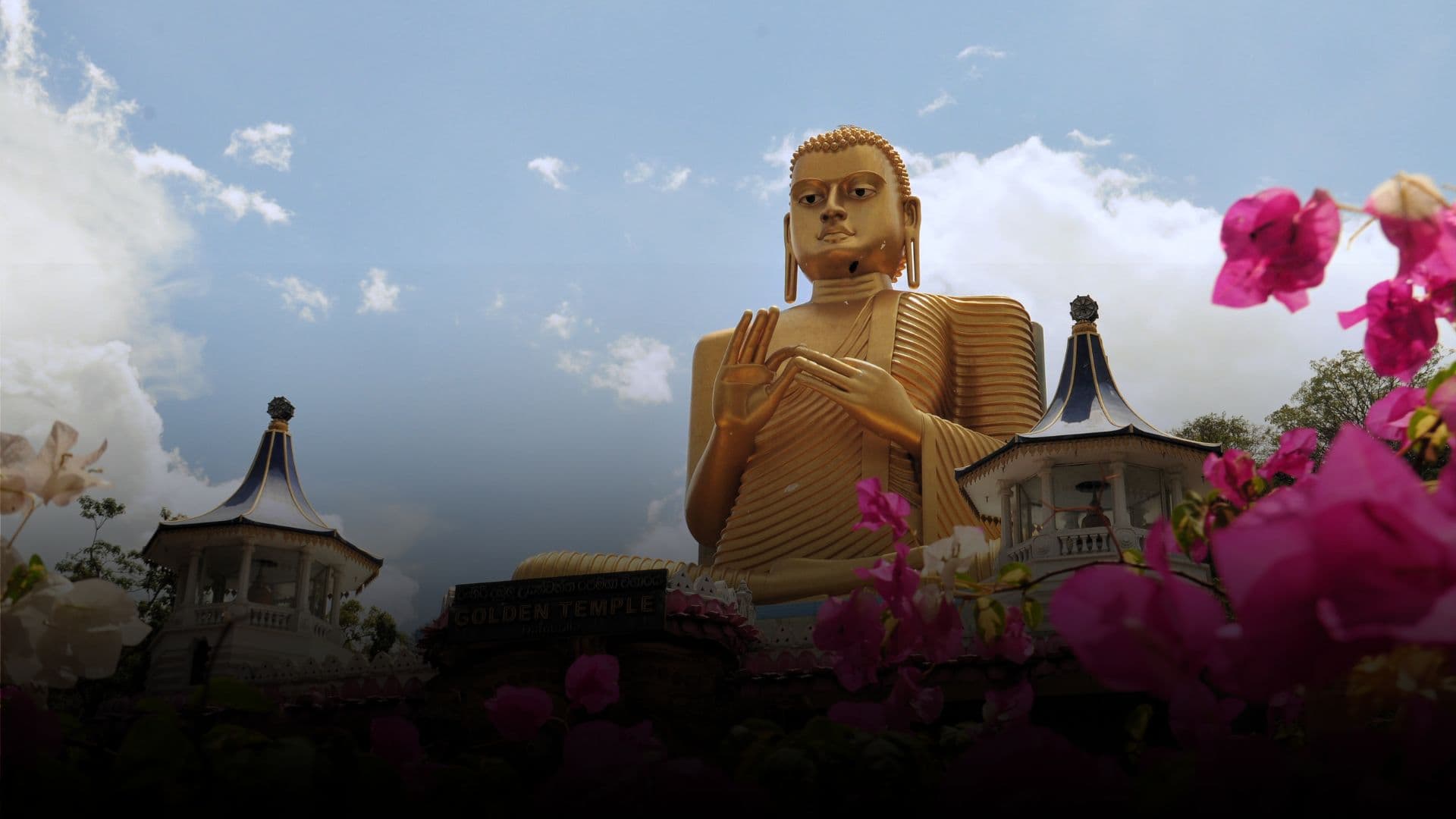 Contact Elion Holidays