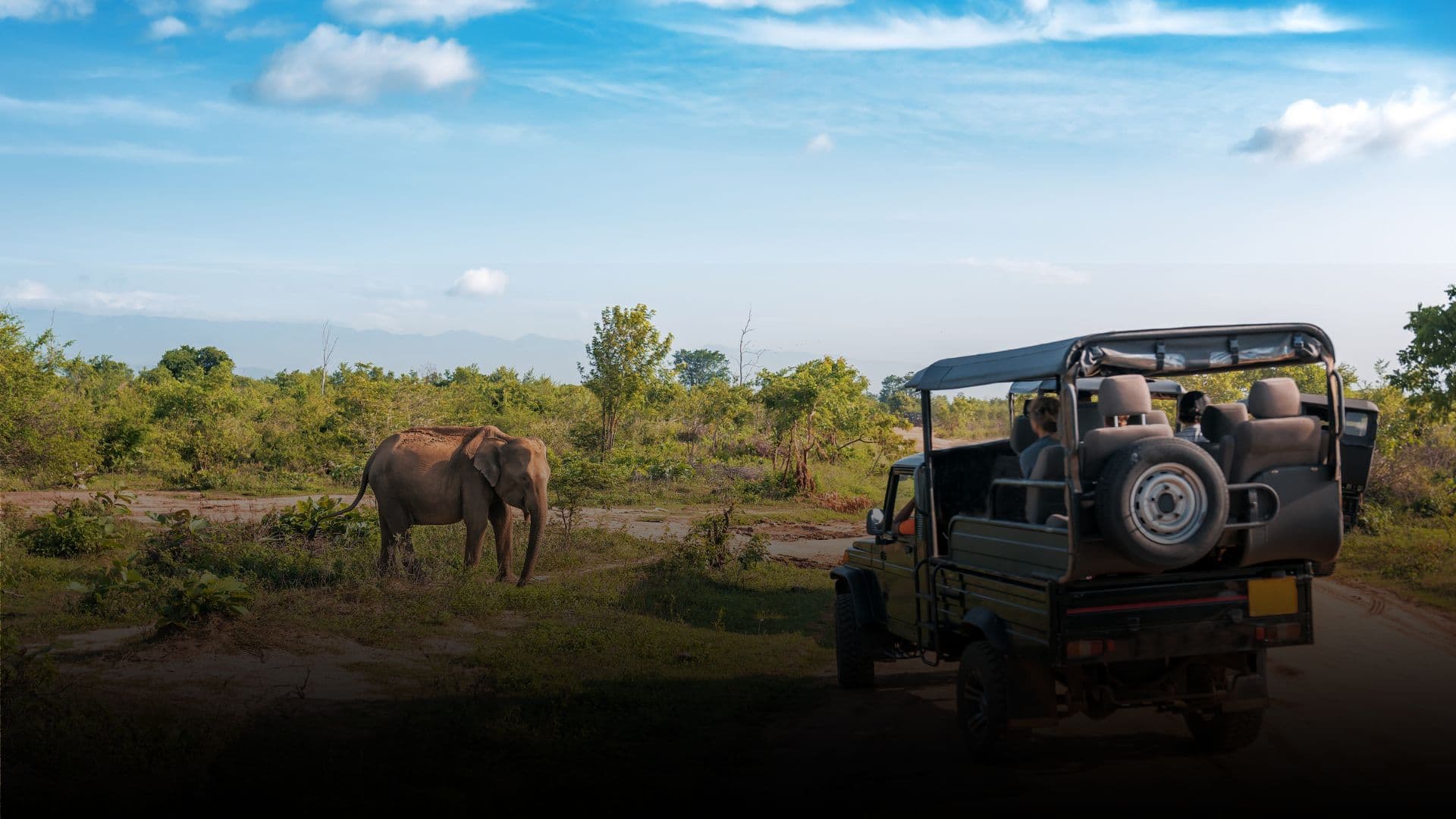 About Elion Holidays Sri Lanka